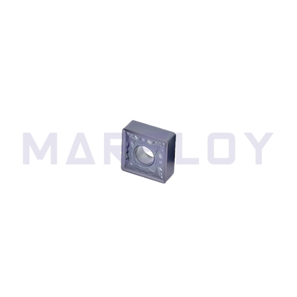 SNMG120408-HS